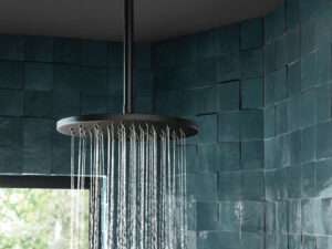 overhead shower faucet