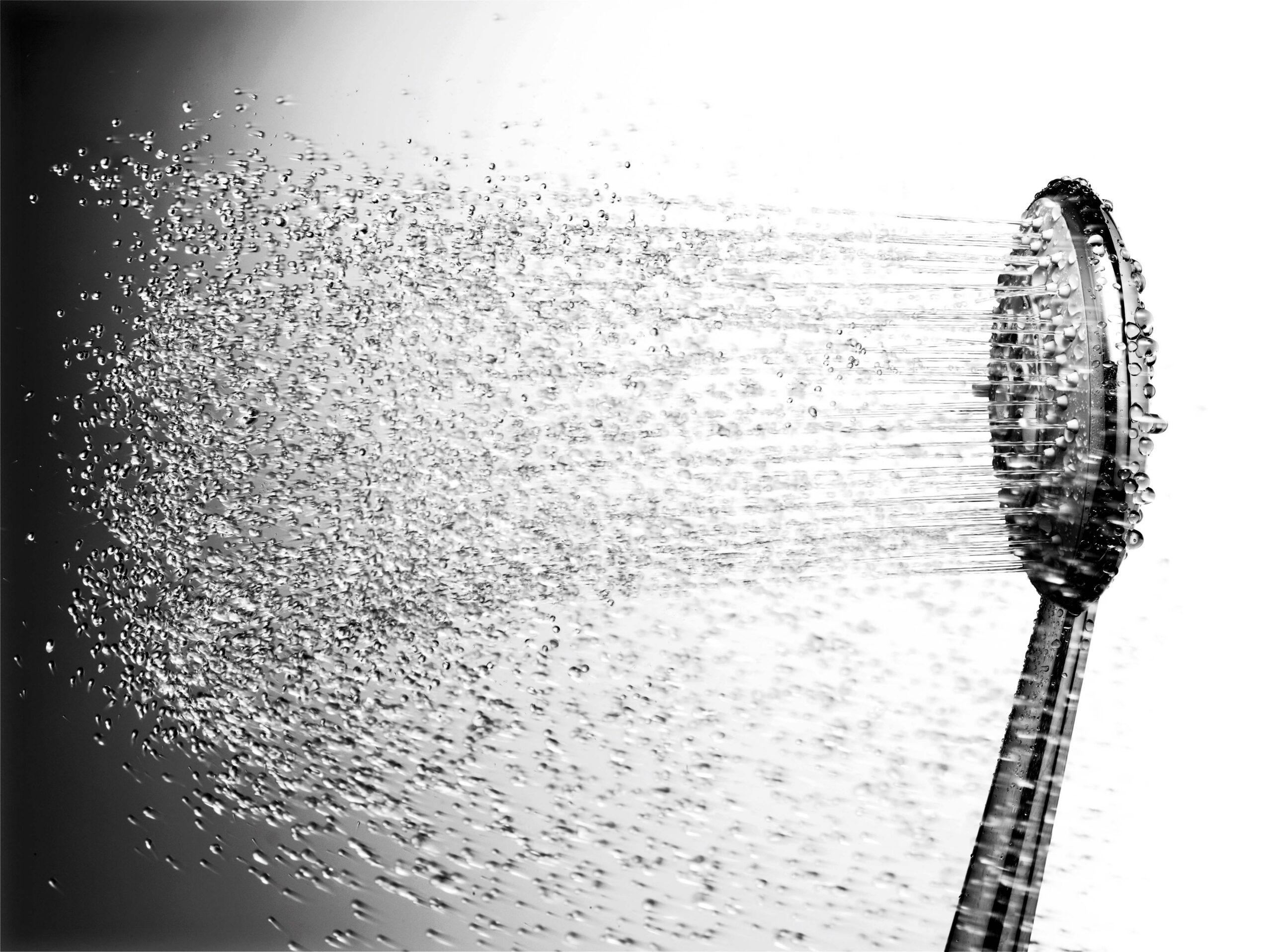 StyleFlow Handshower in Polished Chrome