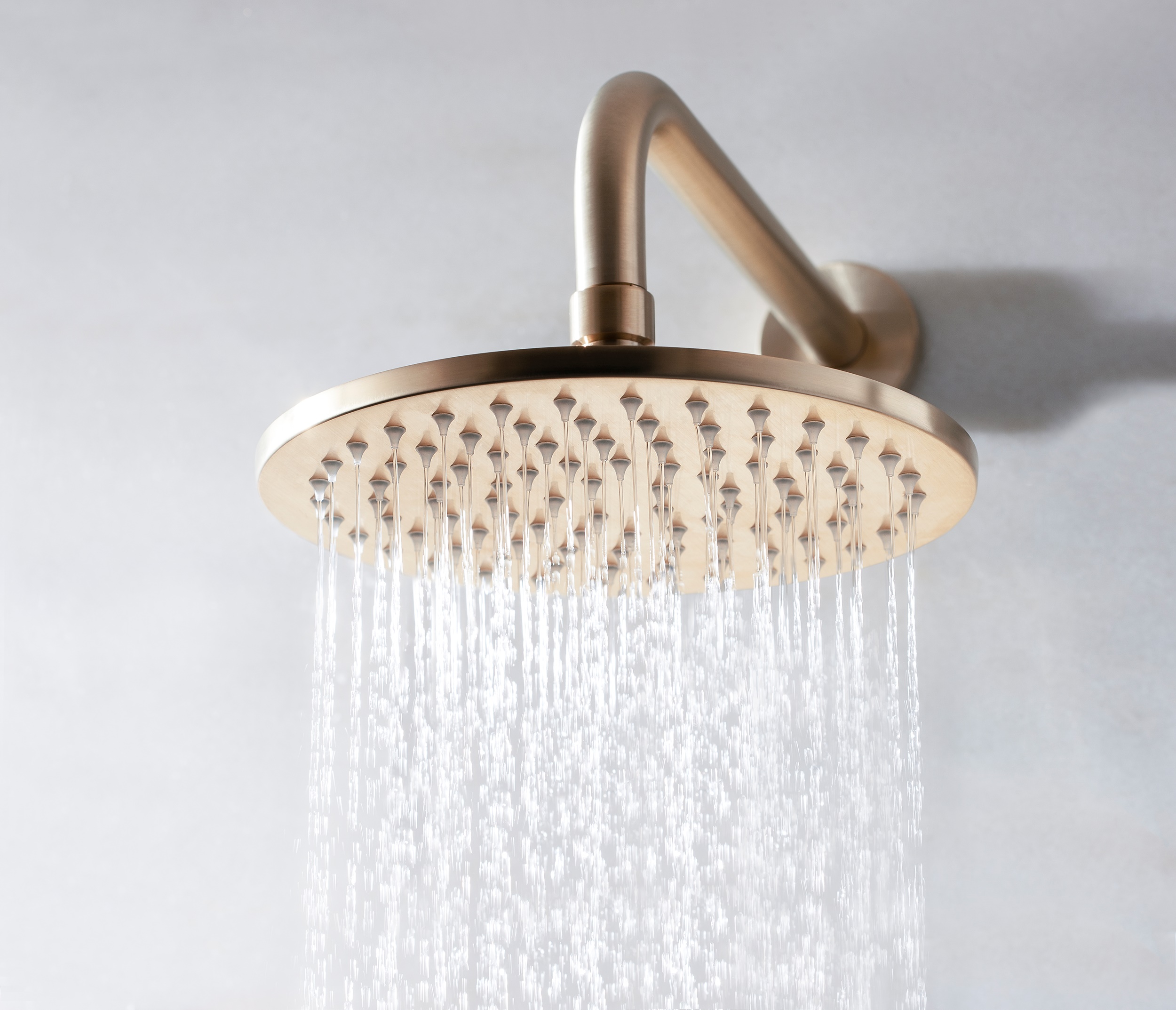 8in Showerhead Brushed Brass